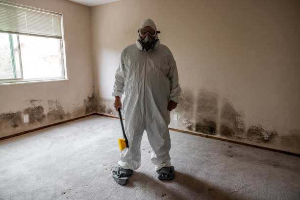 Best Crawl Space Mold Removal  in St Cloud, FL